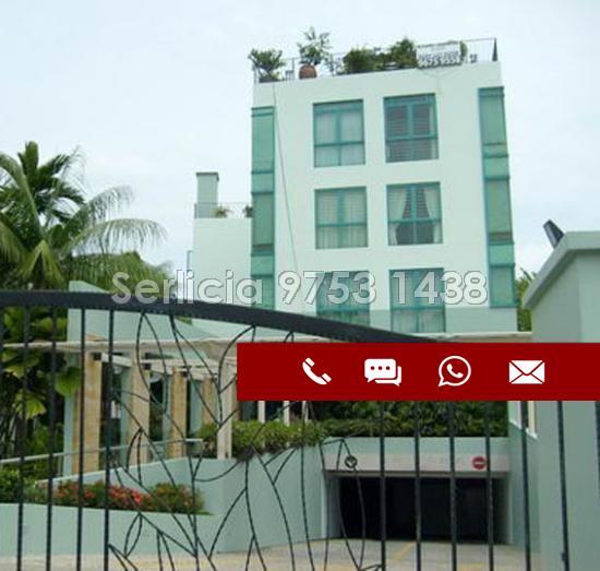 Celadon View (D17), Apartment #168785832